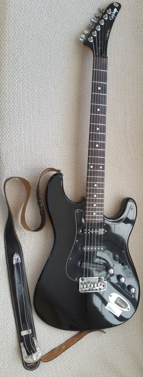 Epiphone S-310