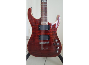 Elypse Guitars X500 Pro (30761)