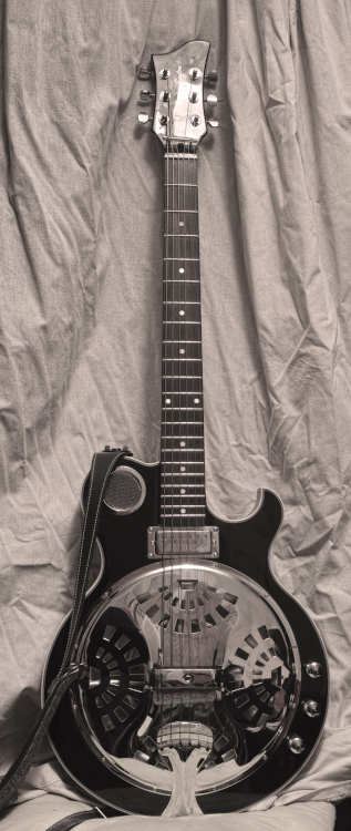 Harley Benton ResoKing