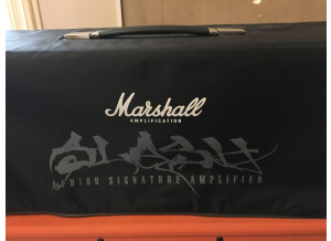 Marshall AFD100 - Appetite For Destruction (93438)