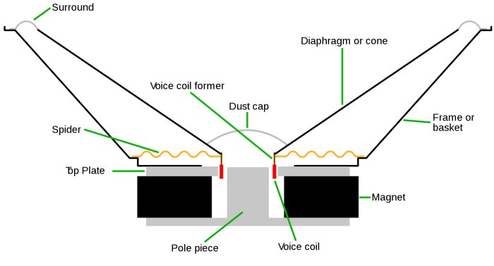 Cross section of a cone speaker Cross section of a cone speaker