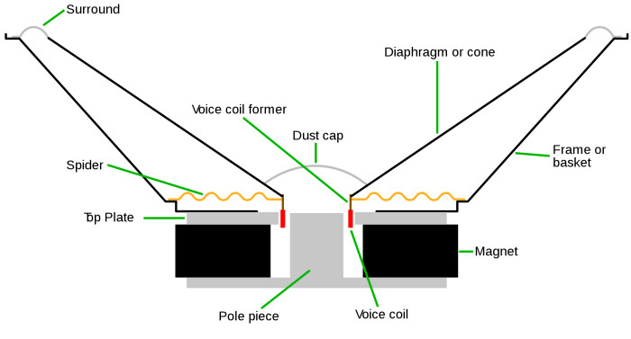 Cross section of a cone speaker