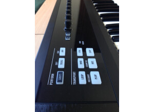 Native Instruments Komplete Kontrol S61 (45034)