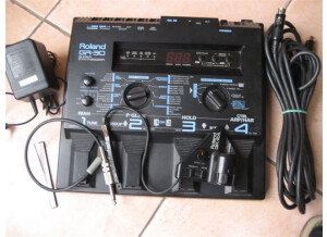 Roland GR-30 (19841)