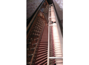 Gaveau Piano Droit (55333)