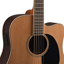 Mitchell Guitars ME2CEC : Mitchell ME2CEC Rosette1