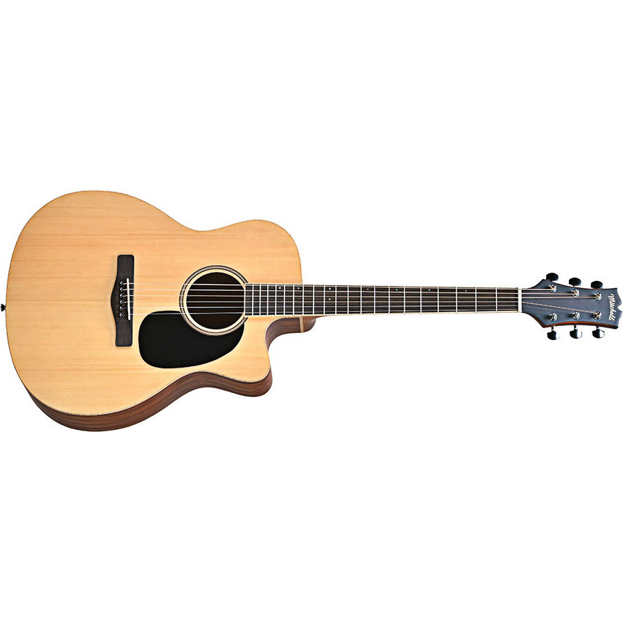 Mitchell Guitars ME1ACE : Mitchell ME1ACE lt1