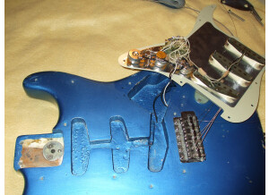 Fender Stratocaster [1965-1984] (40067)