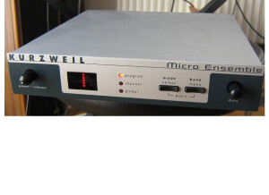 Kurzweil Micro Ensemble (74827)