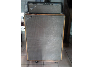 Fender Bassman 100 (Silverface) (95105)
