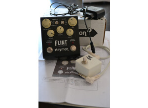 Strymon Flint (36433)
