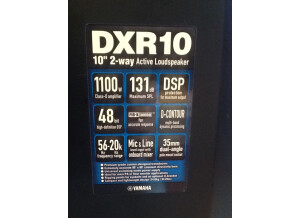 Yamaha DXR10 (48065)