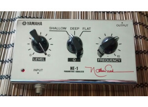 Yamaha ne-1 (3032)