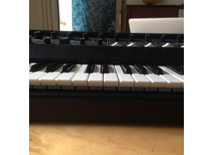 Moog Music MultiMoog (90996)