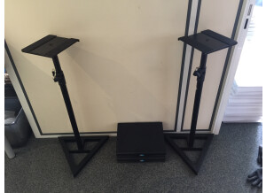 QuiK Lok BS300 Stand Monitor (78985)