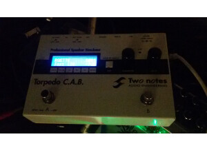 Two Notes Audio Engineering Torpedo C.A.B. (Cabinets in A Box) (83870)