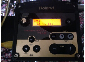 Roland TM-2 Trigger Module (11304)