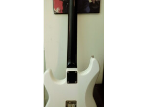 Warmoth Stratocaster (40128)