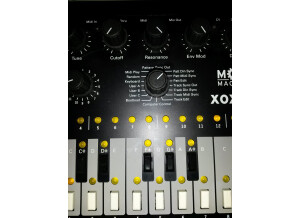 Mode Machines tb bassline xoxbox (98312)