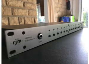 Rjm Music Technologies Effect Gizmo - Audio Loop Switcher (14942)