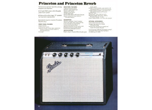 Princeton & Princeton Reverb Silverface 1970 Catalog