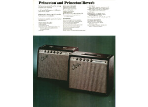 Princeton & Princeton Reverb Silverface 1972 Catalog