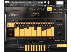Heavyocity Ensemble Woods Collection
