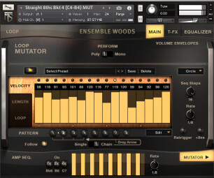 MS4 Interface Loops MS4 Interface Loops
