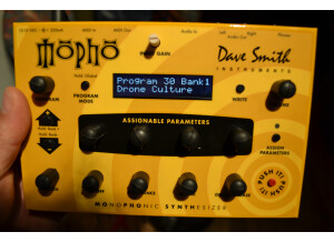 Dave Smith Instruments Mopho (66870)