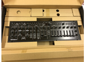 Roland SYSTEM-1m (78127)