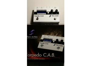 Two Notes Audio Engineering Torpedo C.A.B. (Cabinets in A Box) (40954)