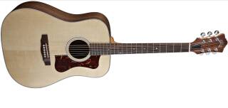 Guild DV-6