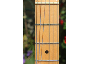 Fender American Standard Stratocaster [2008-2012] (14045)