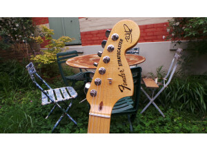Fender The Edge Strat (62671)