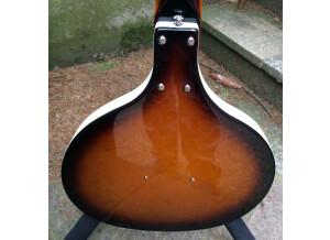 Danelectro Baby Sitar (65187)