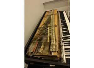 Fender Rhodes Mark I Stage Piano (9903)