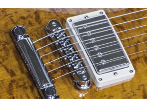 Gibson Les Paul Birdseye 2016