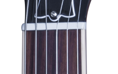 LPP16HBCH1 FRETBOARD PANEL 03