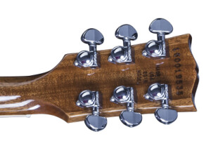 LPP16HBCH1 FRETBOARD PANEL 02