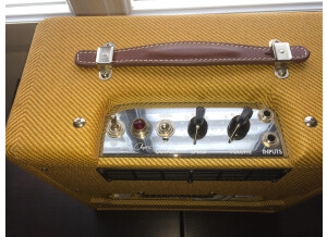 Fender EC Vibro-Champ (14561)