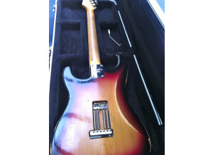 Fender Stevie Ray Vaughan Stratocaster (11431)