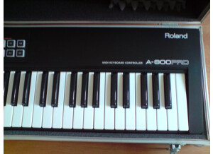 Roland02