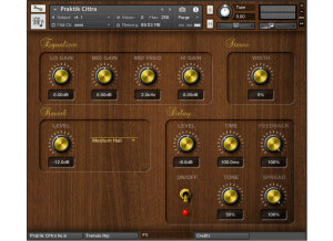 Precision Sound Praktik Cittra No.6