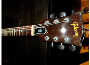 Gibson SG-250