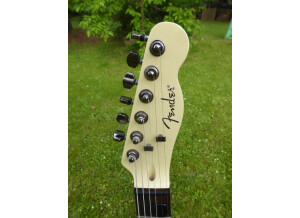 Fender Special Edition TC-90 Thinline (63021)