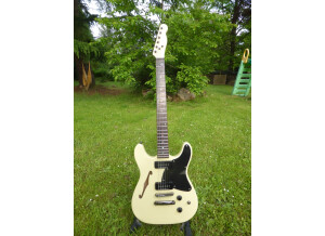 Fender Special Edition TC-90 Thinline (7835)