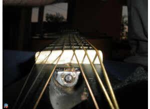 Gibson LG 0 (19980)