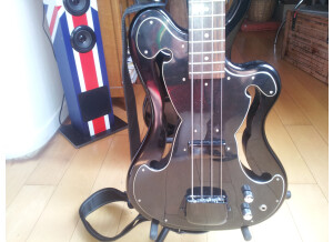 Eastwood Guitars EEB-1 Bass (74226)