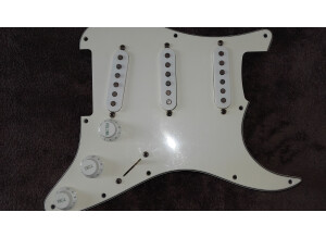 Fender Loaded Pickguard (37313)