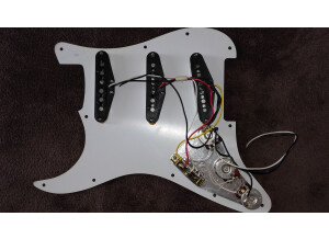 Fender Loaded Pickguard (56383)